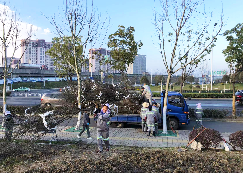 凯发·k8天生赢家·一触即发