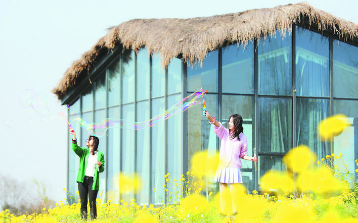 ������k8����Ӯ�ҡ�һ������