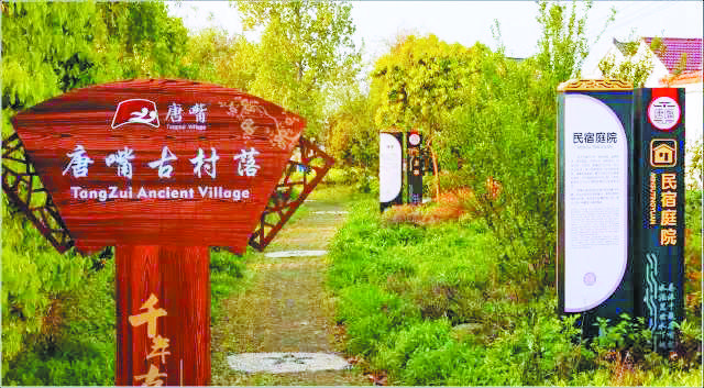 ������k8����Ӯ�ҡ�һ������