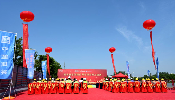 ������k8����Ӯ�ҡ�һ������