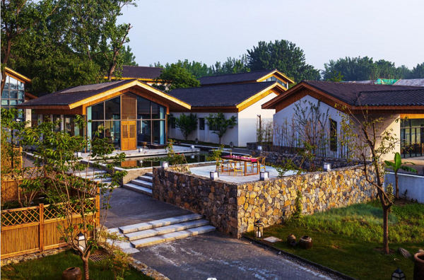 ������k8����Ӯ�ҡ�һ������