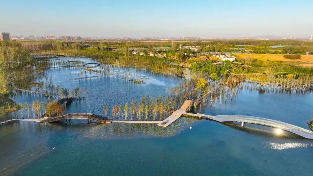 ������k8����Ӯ�ҡ�һ������