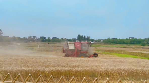 ������k8����Ӯ�ҡ�һ������