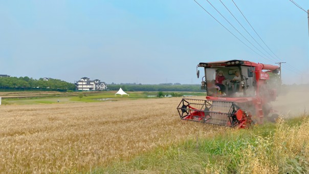 ������k8����Ӯ�ҡ�һ������