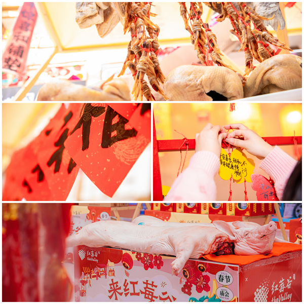 ������k8����Ӯ�ҡ�һ������