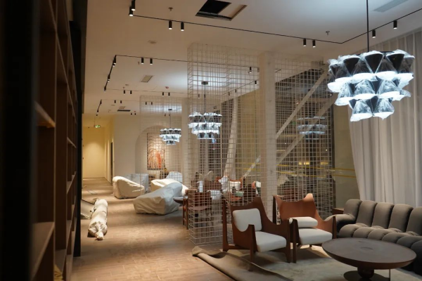 ������k8����Ӯ�ҡ�һ������