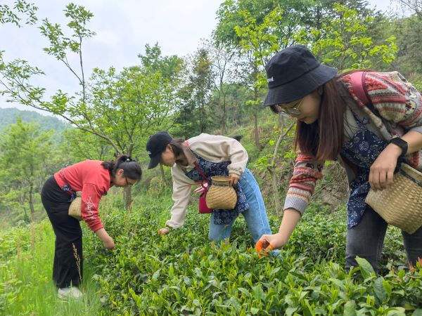 ������k8����Ӯ�ҡ�һ������