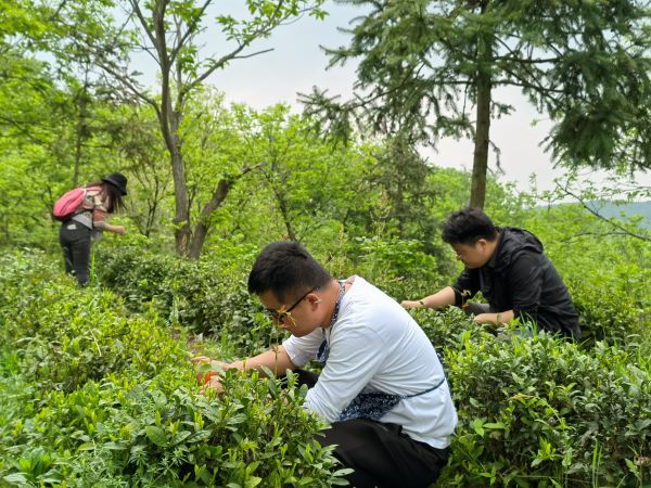 ������k8����Ӯ�ҡ�һ������