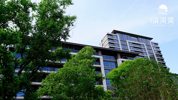 ������k8����Ӯ�ҡ�һ������